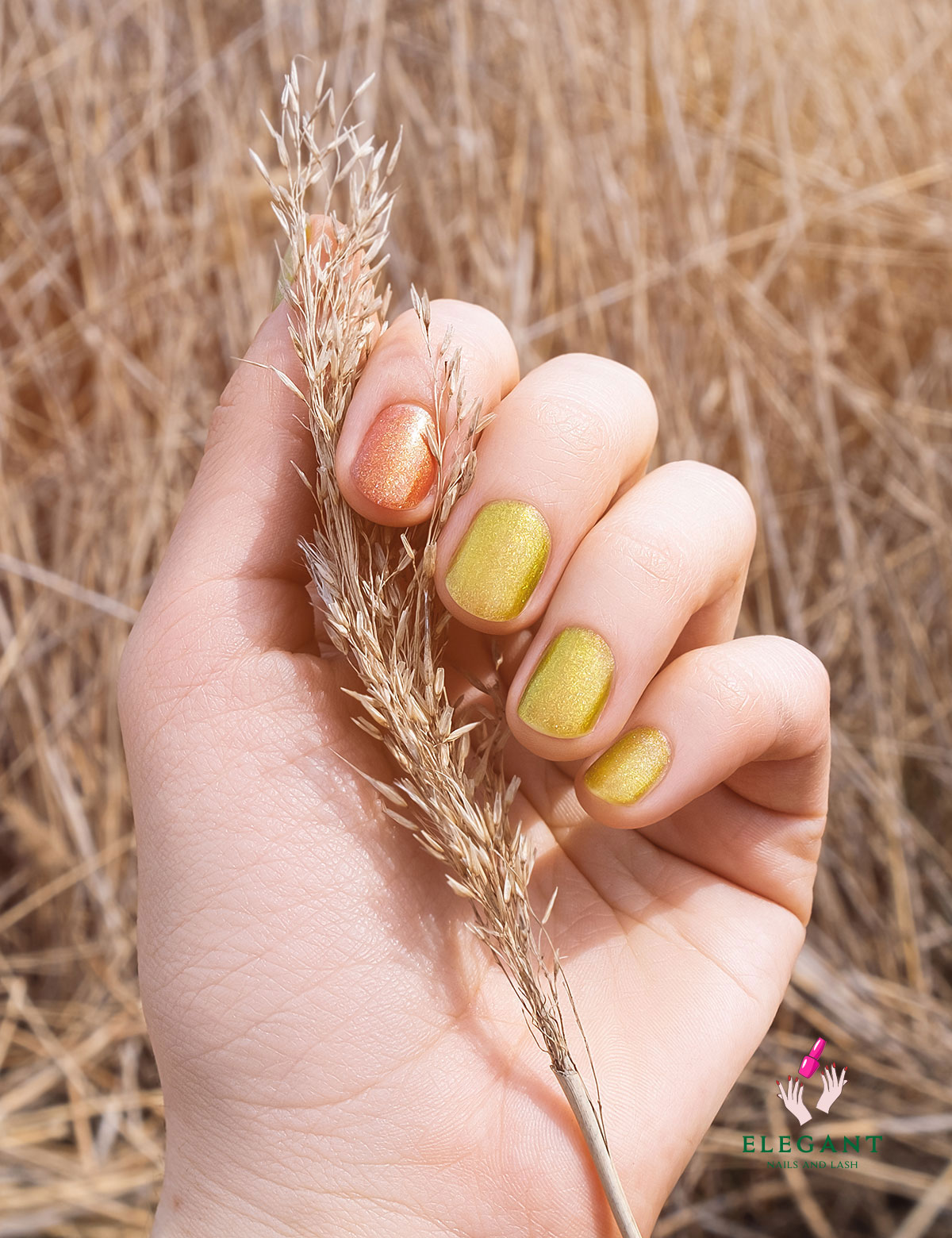 Elegant Nails And Lash